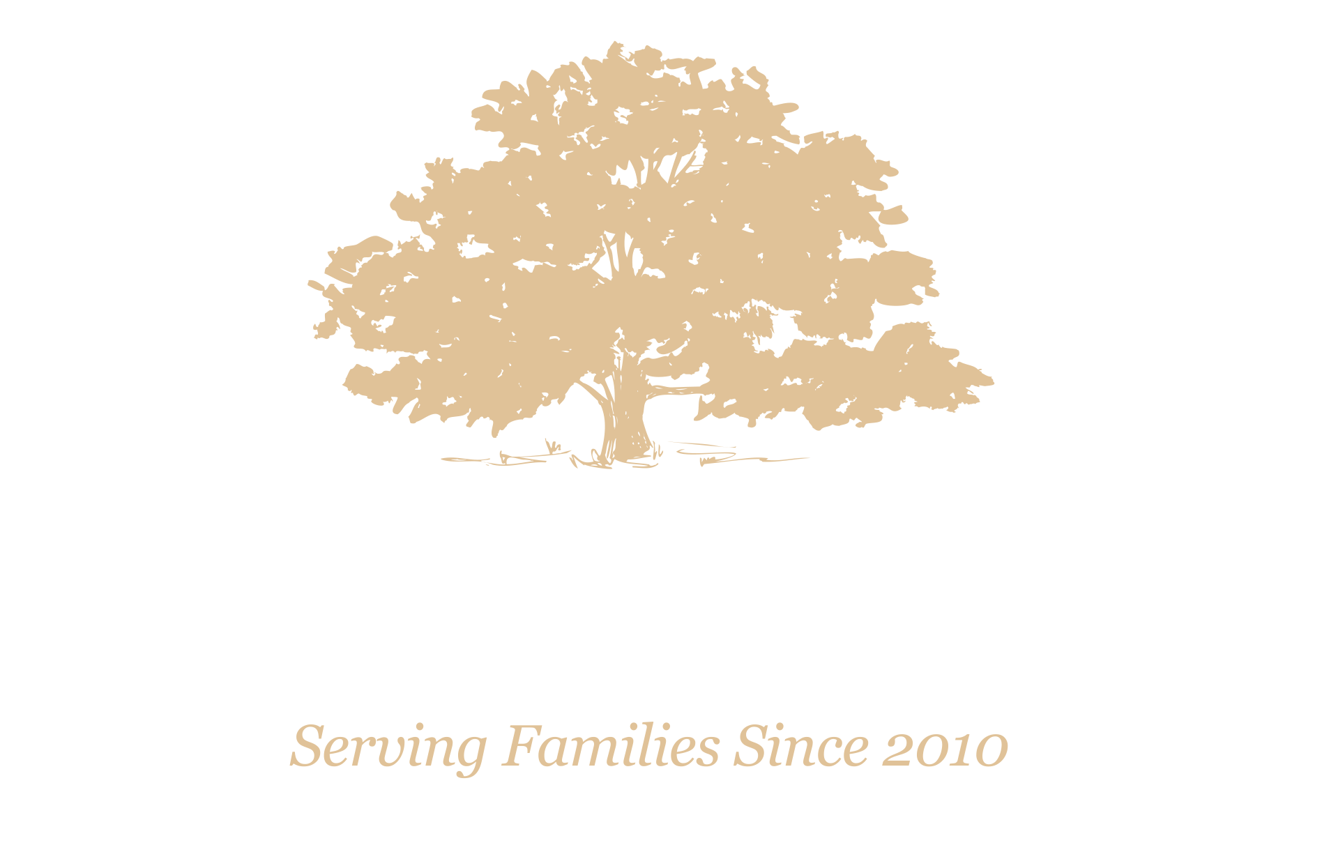 Jackson-Nelson-Logo-color-dark-back-hi-res